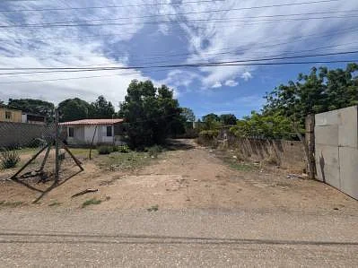 Tree line at property edge