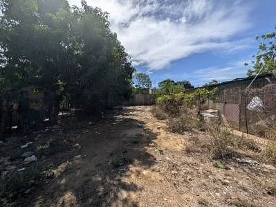 Dirt path through property