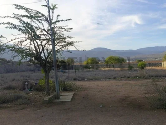 Wide open land plot