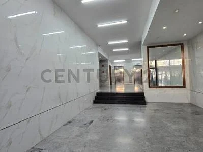Modern gourmet kitchen