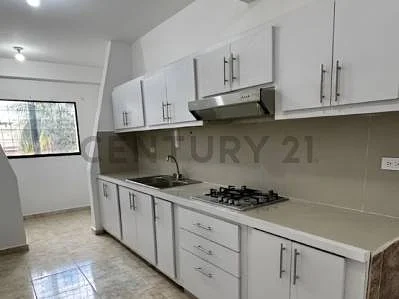Contemporary kitchen with island