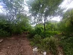 land, for sale, In Sector Cocheima, Nueva Esparta, Isla de Margarita, 7,969.48 sqm - Inmuebles Margarita - 2 MIL thumbnail 3