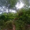 land, for sale, In Sector Cocheima, Nueva Esparta, Isla de Margarita, 7,969.48 sqm - Inmuebles Margarita - 2 MIL thumbnail 5