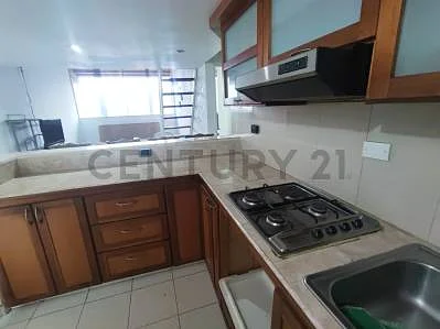 Contemporary kitchen counters