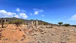 land, for sale, In Taguantar, Nueva Esparta, Isla de Margarita, 10.075 mt2 - Inmuebles Margarita - 2 MIL thumbnail 5