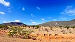 land, for sale, In Taguantar, Nueva Esparta, Isla de Margarita, 10.075 mt2 - Inmuebles Margarita - 2 MIL thumbnail 4