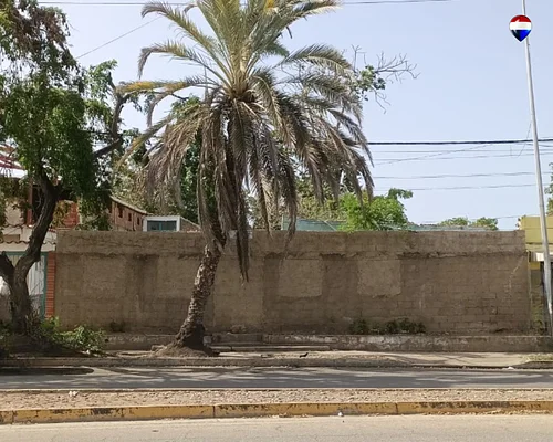land, for sale, On Avenida Terranova, Nueva Esparta, Isla de Margarita, 792 mt2 - Inmuebles Margarita - 2 MIL
