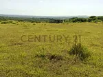Sale of farm/estate in Centro Tinaquillo, Falcón, Tinaquillo, Cojedes thumbnail 5