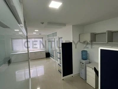 Bright modern kitchen