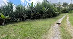land (Commercial) for sale in San Antonio, Miranda thumbnail 1