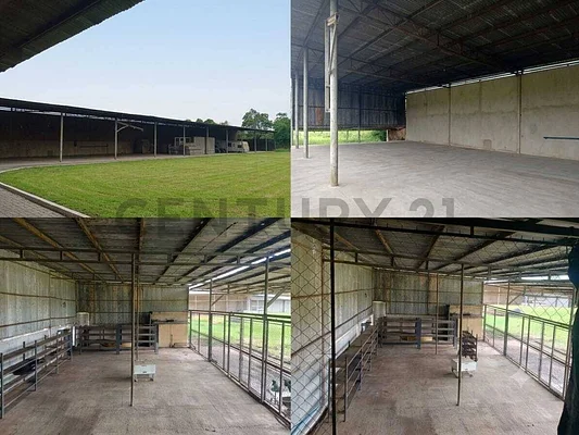 Warehouse for rent in Reina Paulina, Maturín, Maturín, Monagas
