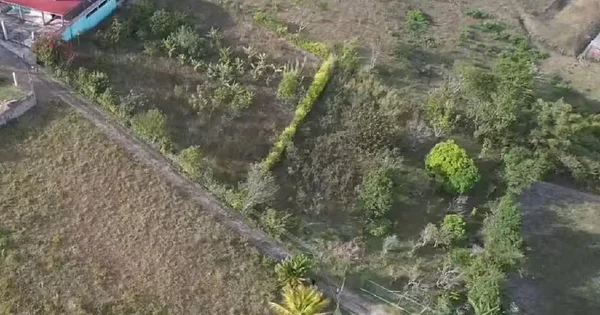Experience the Charm of the Páramo - Secor Montenergo, La Yerbabuena, Aldea Sucre, Para, 5017 Capacho Viejo - Plot of land for sale