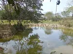 Sale of farm/estate in Centro San Carlos, Anzoátegui, San Carlos, Cojedes thumbnail 3