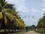 Sale of farm/estate in Centro San Carlos, Anzoátegui, San Carlos, Cojedes thumbnail 2