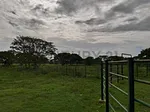 Sale of farm/estate in Centro San Carlos, Anzoátegui, San Carlos, Cojedes thumbnail 5