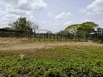 Sale of farm/estate in Centro San Carlos, Anzoátegui, San Carlos, Cojedes thumbnail 4