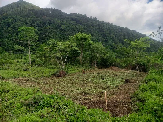Sale of land in La Concordia, San Cristóbal, San Cristóbal, Táchira
