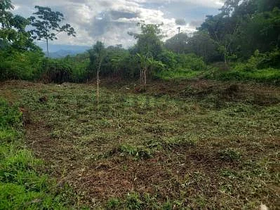Natural landscape and terrain