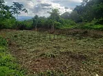 Sale of land in La Concordia, San Cristóbal, San Cristóbal, Táchira thumbnail 3