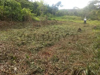 Scenic view of land area