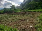 Sale of land in La Concordia, San Cristóbal, San Cristóbal, Táchira thumbnail 4
