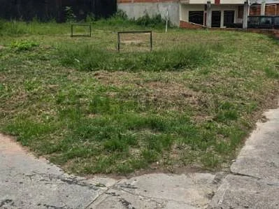 Raw land with trees