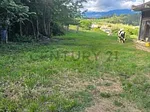 Sale of land in Boca Caneyes, Palmira, Guásimos, Táchira thumbnail 4