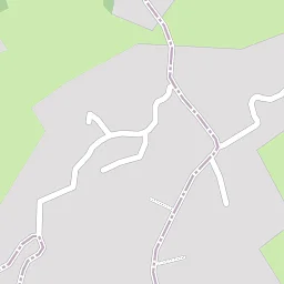 Shaded wooded section