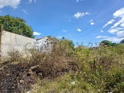 Boundary marker and fencing
