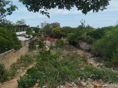 Dirt road leading to lot