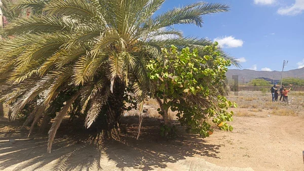 Sale of land in Valle Verde, García, Villa Rosa, Nueva Esparta
