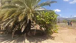 Sale of land in Valle Verde, García, Villa Rosa, Nueva Esparta thumbnail 1