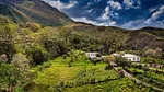 Sale of farm/estate in Centro Sabana de Piedra, Caripe, Sabana de Piedra, Monagas thumbnail 1
