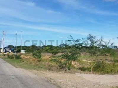 land for sale in Las Guevaras, Díaz, San Juan Bautista, Nueva Esparta - Image 5