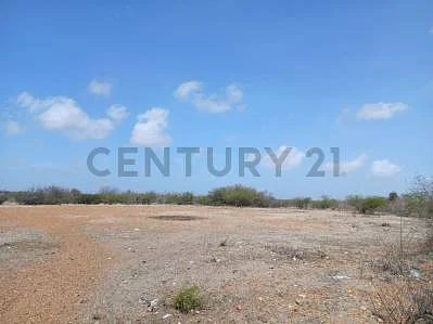 land for sale in Las Guevaras, Díaz, San Juan Bautista, Nueva Esparta - Image 7