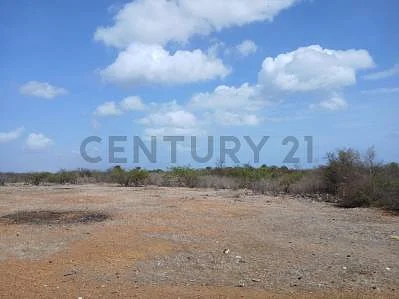 Scenic land overview