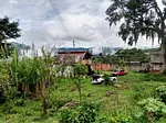 Sale of farm/estate in Sector San Rafael, Cárdenas, Táriba, Táchira thumbnail 3