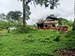Sale of farm/estate in Sector San Rafael, Cárdenas, Táriba, Táchira thumbnail 2