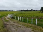 Sale of farm/estate in Lomas del Toico, Cárdenas, Palo Gordo, Táchira thumbnail 4