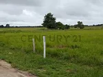 Sale of farm/estate in Lomas del Toico, Cárdenas, Palo Gordo, Táchira thumbnail 3
