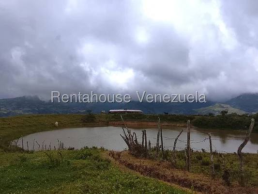 land (farm/estate) for sale in Jimenez, Lara