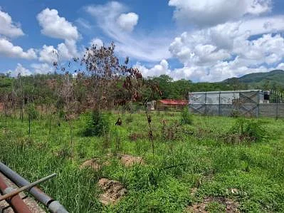 Sale of land in Centro Guarenas, Plaza, Guarenas, Miranda - Image 3