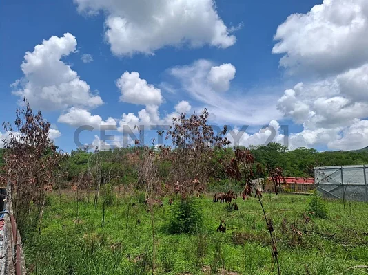 Sale of land in Centro Guarenas, Plaza, Guarenas, Miranda - Image 1