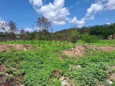 Sale of land in Centro Guarenas, Plaza, Guarenas, Miranda - Image 4