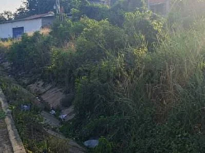 Property landscape detail