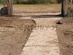Sale of farm/estate in Higuerote, La Costanera, Brion, Miranda thumbnail 2