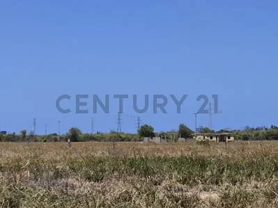 Natural landscape and terrain
