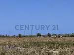 Sale of land in Chichiriviche, Iturriza, Chichiriviche, Falcón thumbnail 3