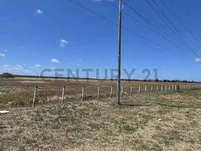 Scenic view of acreage