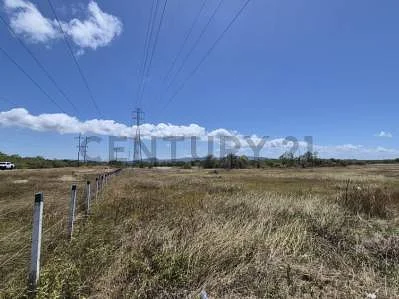 Property boundary and surroundings